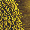 Nanoscale image